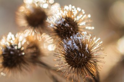 Regalo per 20enni: scegli l'esperienza, non solo l'oggetto fisico