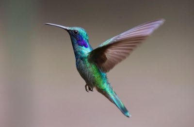 破解送禮迷思：如何為20幾歲族群找到完美切入點完整指南