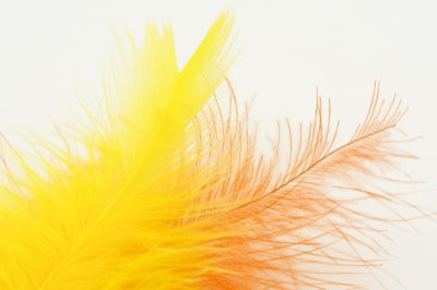 Regalo perfetto: 10 idee per ogni budget e ogni legame stretto