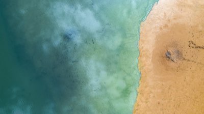 Presente para pais: 8 ideias que tocam o coração e acertam